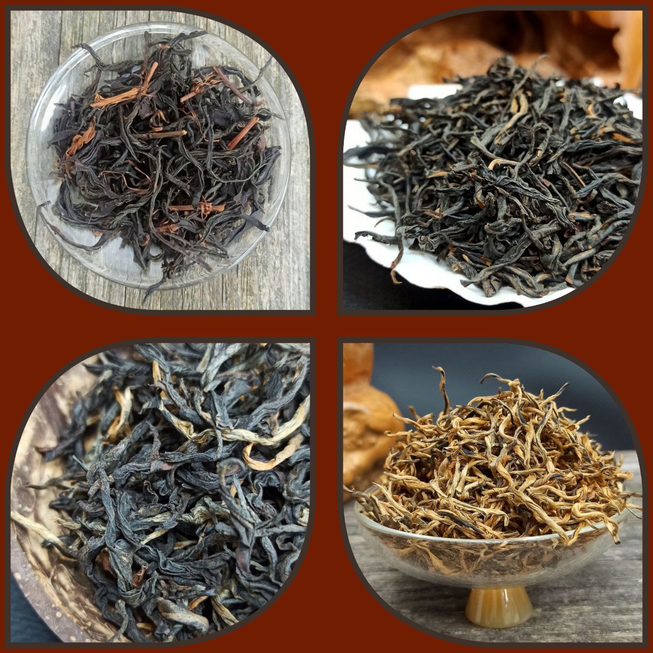 Чайный тест-драйв КРАСНЫЕ ИЗ 4-Х ПРОВИНЦИЙ