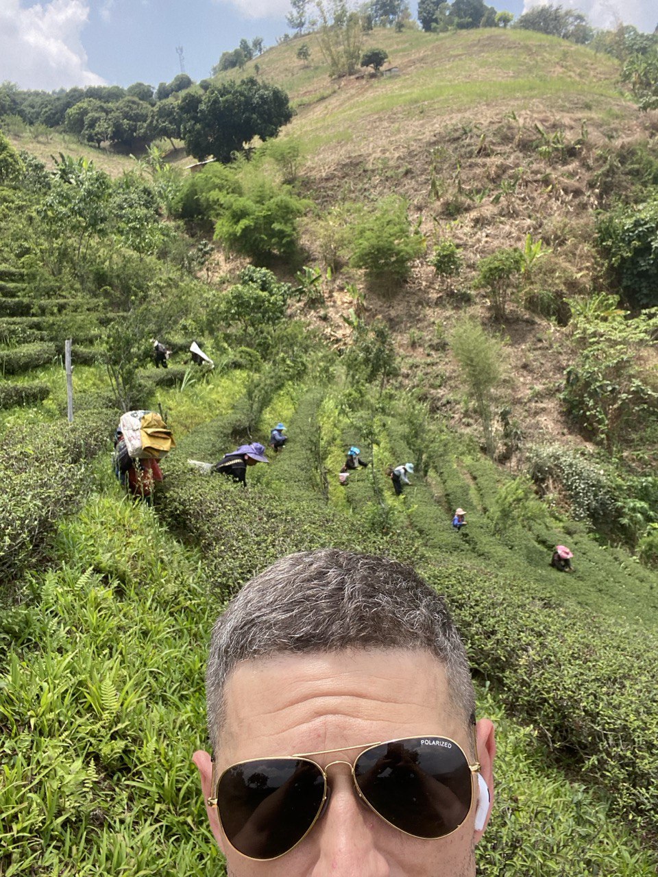 Илья Гаппуров | дегустация габа улунов из Тайланда